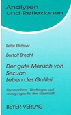 Der gute Mensch von Sezuan. Interpretation