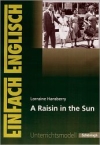 Landesabitur NRW. A raisin in the sun