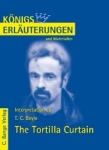 The Tortilla Curtain, Landesabitur Englisch