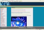Hier geht es zu Andies privater Homepage