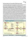 Das Politische System DEUTSCHLANDS - Schaubilder/Grafiken Verfassungsorgane