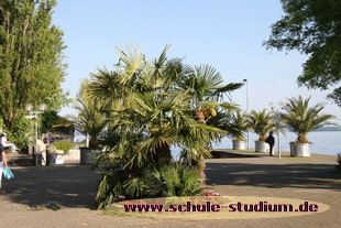 Bodensee bei Meersburg. Seen in Baden-Württemberg