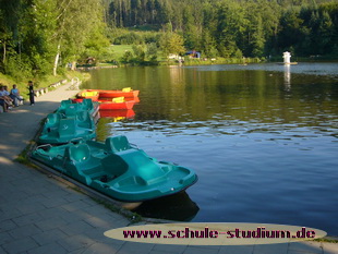 Waldsee Rems-Murr-Kreis. Seen in Baden-Württemberg