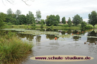 Kell am See. Seen im Saarland