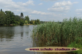 Der Losheimer See. Seen im Saarland