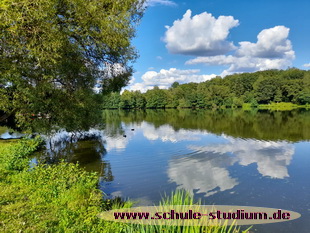 Der Noswendeler See. Seen im Saarland