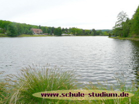 Mühlenweiher Saarbacherhammer zwischen Fischbach und Ludwigswinkel