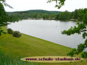 Mühlenweiher Saarbacherhammer zwischen Fischbach und Ludwigswinkel