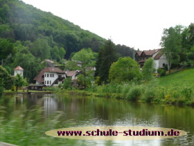 Mühlenweiher Saarbacherhammer zwischen Fischbach und Ludwigswinkel