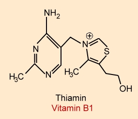 Vitamin B1 (Thiamin)