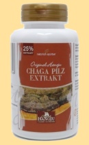 Chaga-Pilz-Extrakt