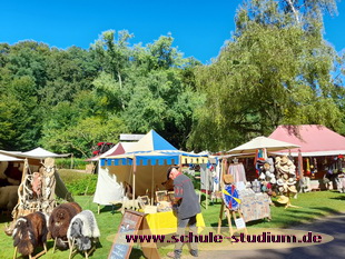 Mittelaltermarkt in Saarbrücken (Saarland)