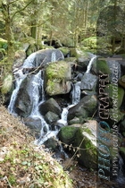 Bühlertal-Wasserfall- Gertelbachfälle