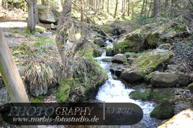 Bühlertal-Wasserfall- Gertelbachfälle