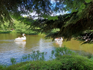 Kurpfalz Park in Wachenheim 2024