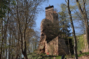 Die Burg Bewartstein (Südwestpfalz)