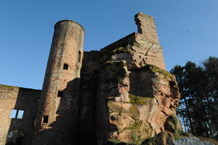 Die Burg Neudahn(Südwestpfalz)