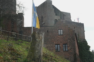 Die Burg Spangenberg (Pfalz)