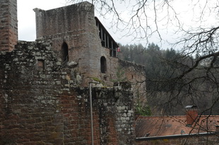 Die Burg Spangenberg (Pfalz)