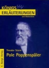 Pole Poppenspäler. Interpretation