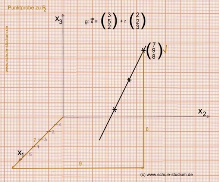 Analytische Geometrie und lineare Algebra: Punktprobe einer Geraden