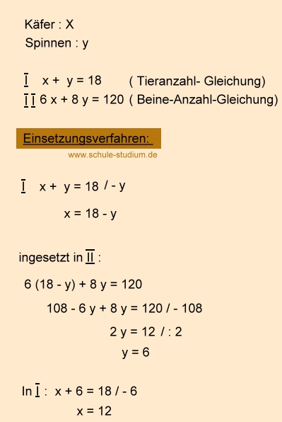 Lineare Gleichungssysteme mit Textaufgaben: Käfer ...